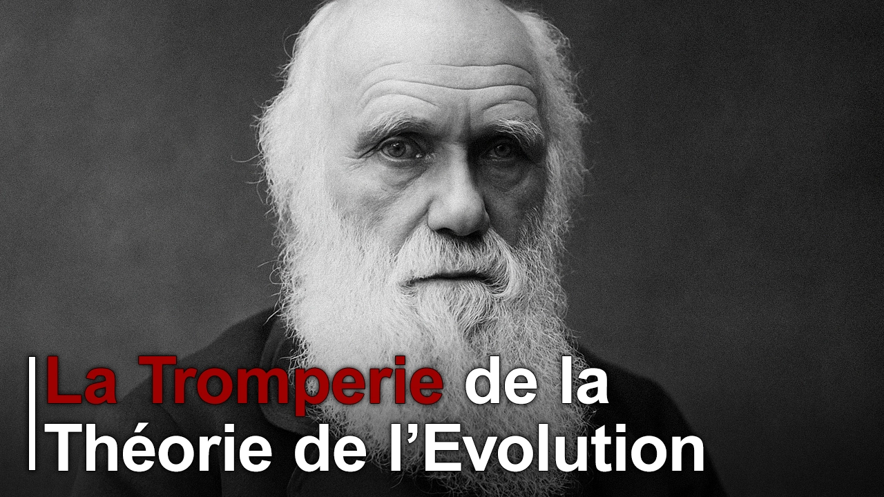 la_tromperie_de_la_theorie_de_levolution Vidéos